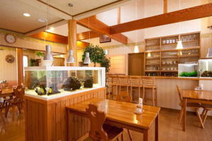 ダイニングの150センチ水槽