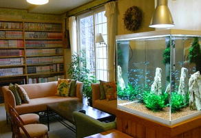 ラウンジの水槽